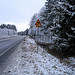 Moose's road