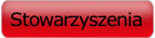 stowarzyszenia fińskie