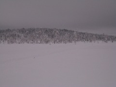 Finlandia, zima, śnieg