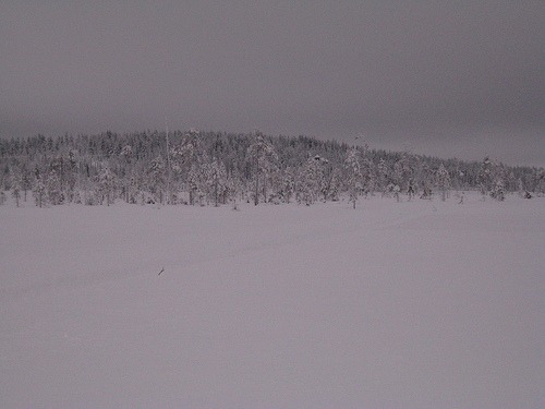 fińska zima